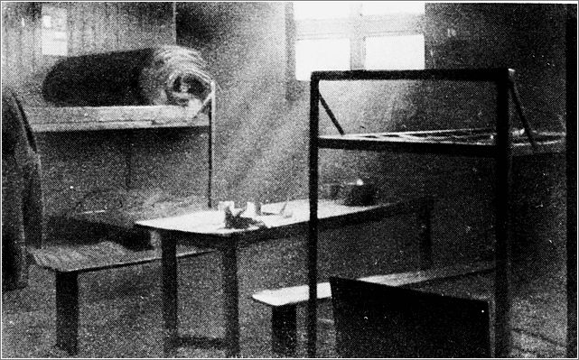 Bunks in the punishment barracks at Westerbork